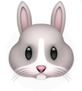 Kind 
To Animals